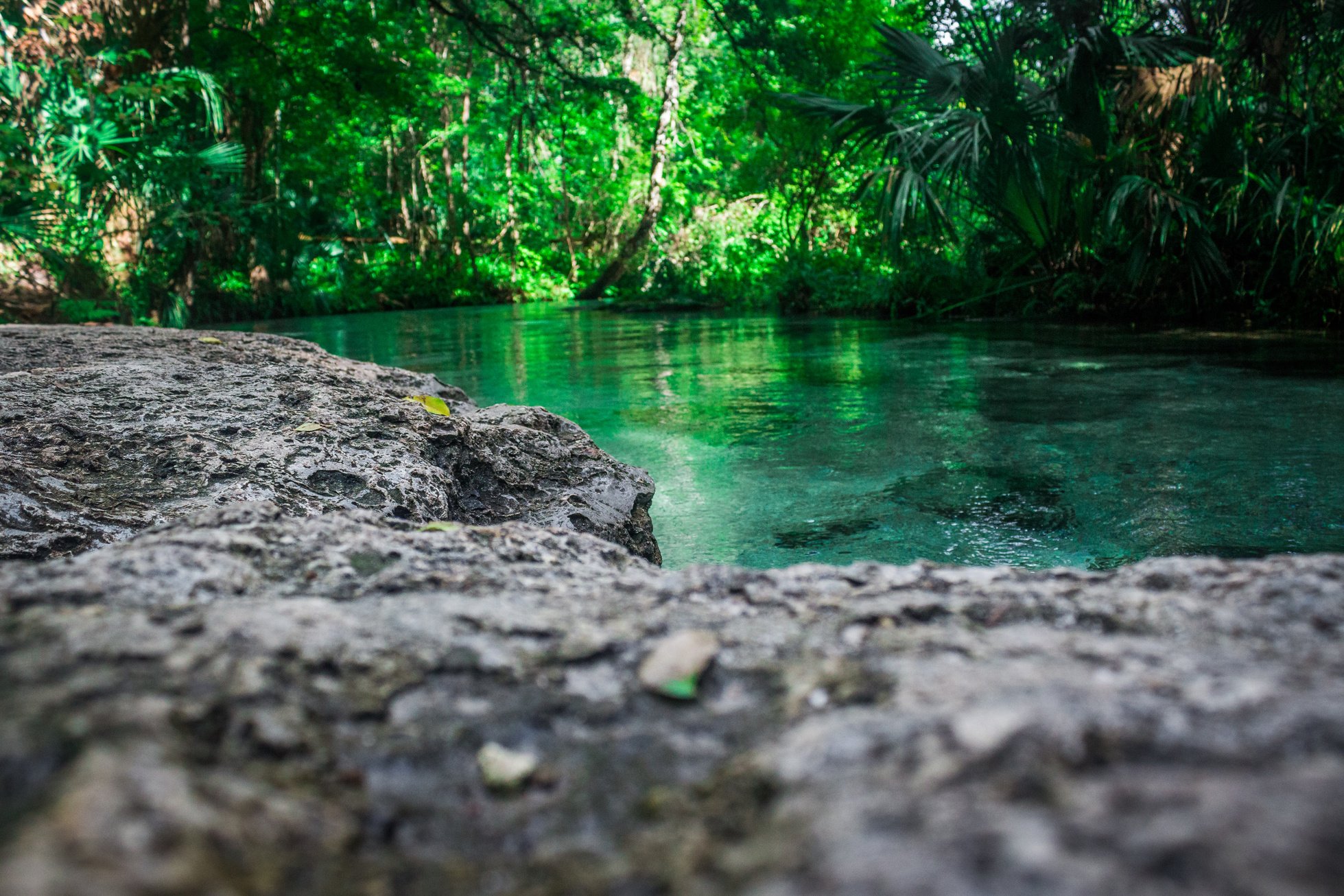 Natural Springs